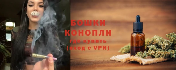 бошки Богданович